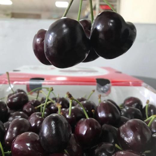 【智利3J加黑厘子】礼盒装 ，新鲜，脆甜多汁。 商品图9