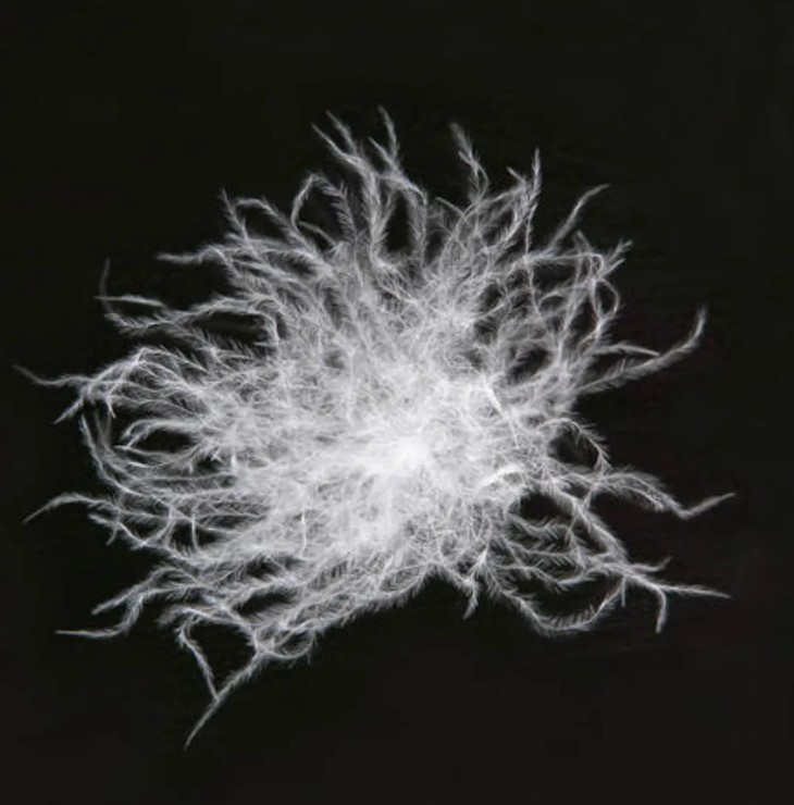 出口单!国际生态纺织认证 90鹅绒被 无束缚睡眠生活(10到15天发货)