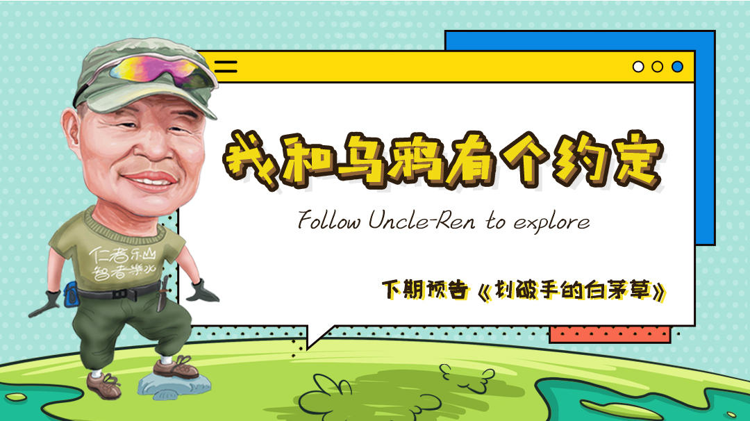 我和乌鸦有个约定