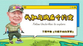 我和乌鸦有个约定