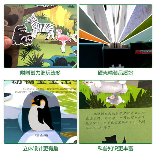 神奇的动物3D立体书 商品图1