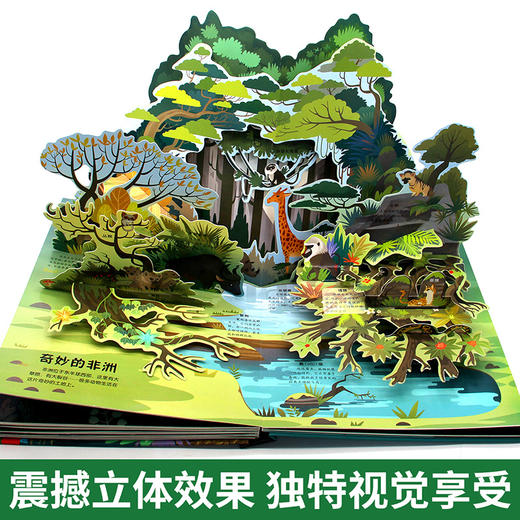 神奇的动物3D立体书 商品图3