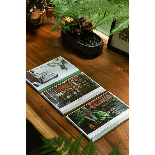 【官微十二月重点书单】在家森呼吸系列（套装3册） 室内绿植手册+干燥植物手册+永生植物手册 茹茹萍 著 家居生活 家居装扮风格 中信 商品图1