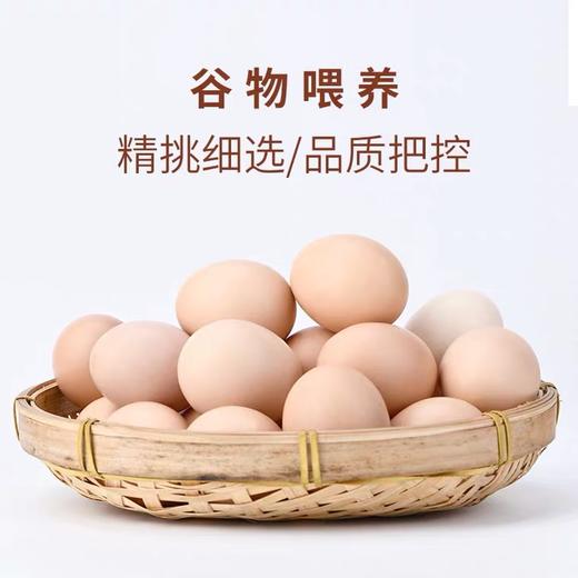 正大親仁蛋散称 1斤 商品图1