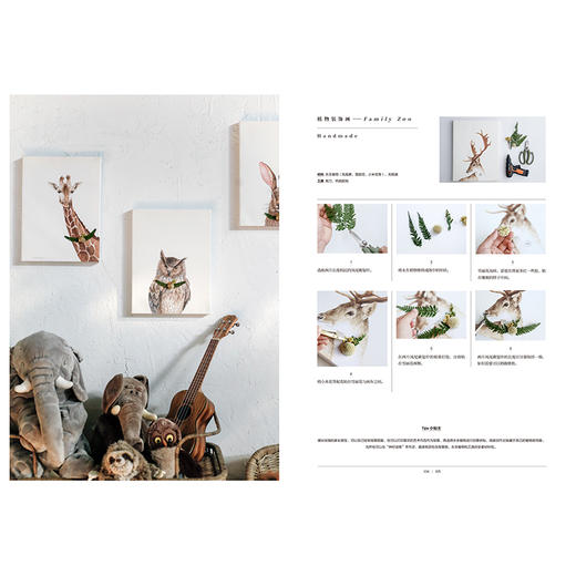 【官微十二月重点书单】在家森呼吸系列（套装3册） 室内绿植手册+干燥植物手册+永生植物手册 茹茹萍 著 家居生活 家居装扮风格 中信 商品图2