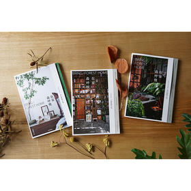 【官微十二月重点书单】在家森呼吸系列（套装3册） 室内绿植手册+干燥植物手册+永生植物手册 茹茹萍 著 家居生活 家居装扮风格 中信