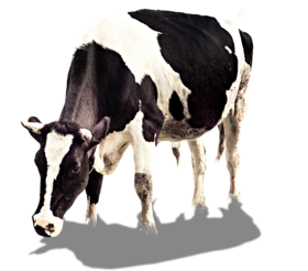 库存测测---勿动