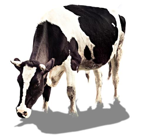 库存测测---勿动 商品图0