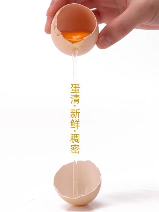 正大親仁蛋散称 1斤 商品图2