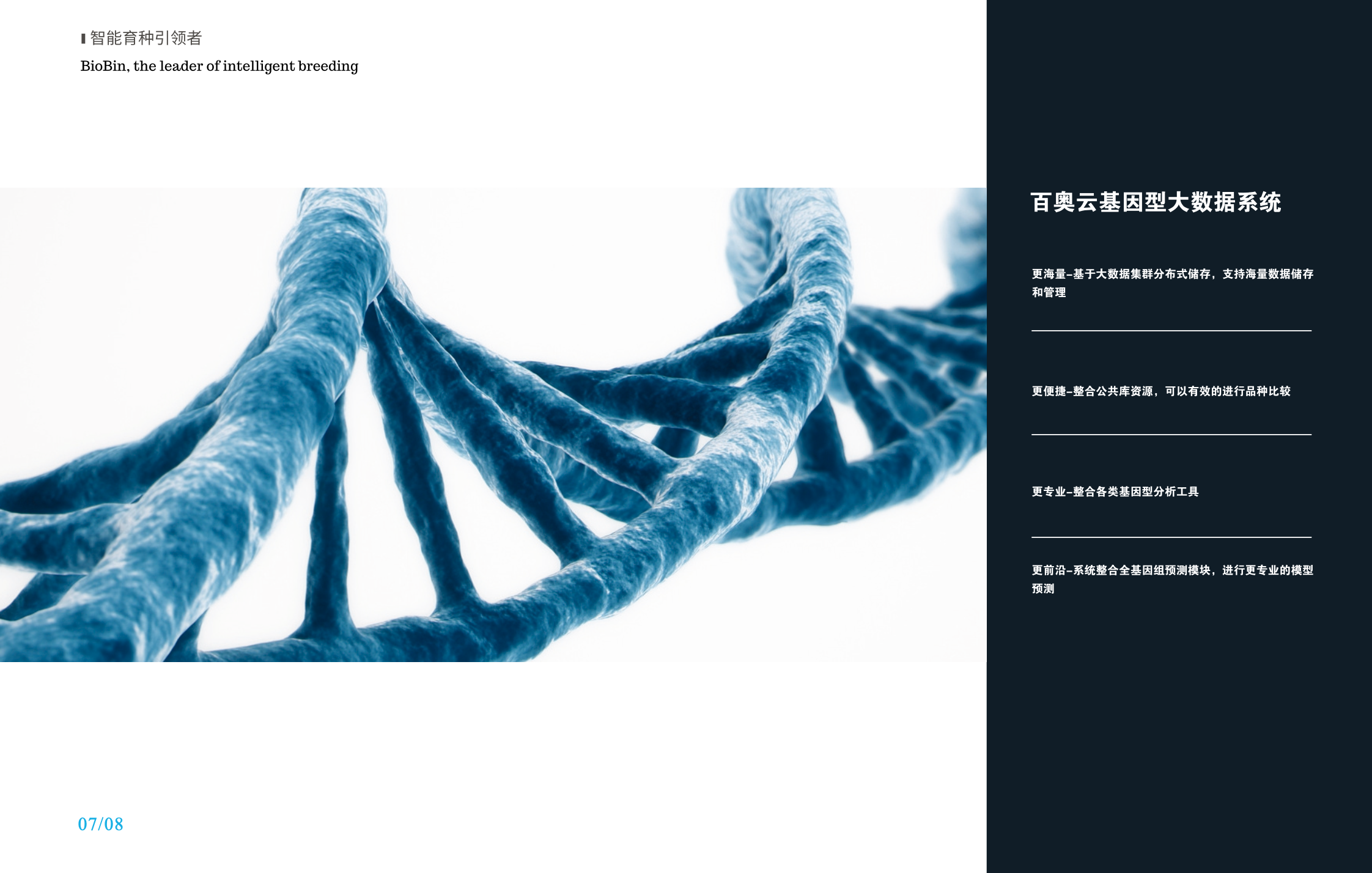 基因型大数据系统