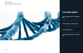 基因型大数据系统