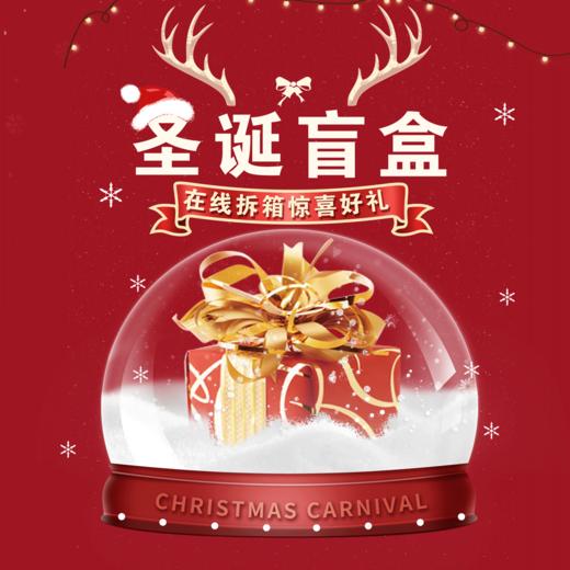 圣诞盲盒 商品图0