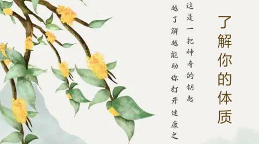 了解你的体质上下合集 商品图0