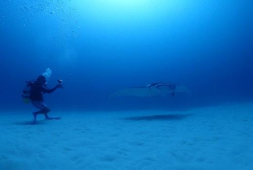 日本群岛游(一） 商品图6