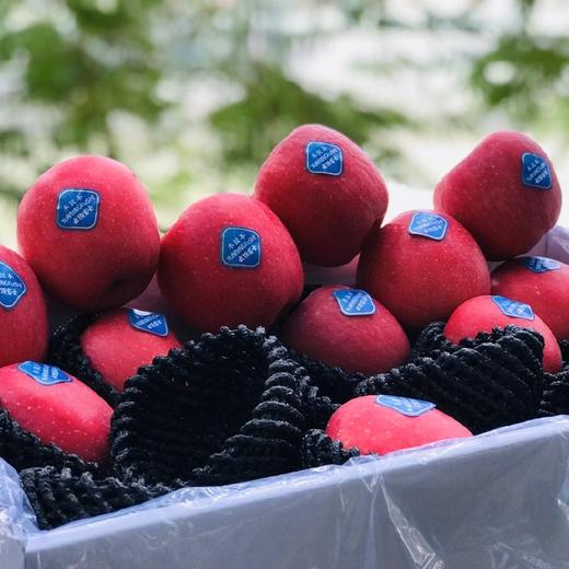 云顶富士 一箱12颗 非常好吃