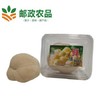 【邮政惠农合作】 新鲜猴头菇 食用菌菇非干货 5朵盒装鲜猴头菇 商品缩略图1