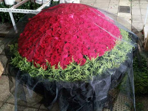 365支520支红玫大花束 商品图0