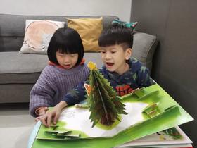 《小鸡球球的圣诞节》：作为圣诞礼物很有仪式感