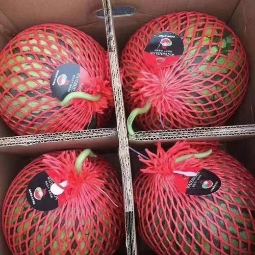 春春西瓜一箱4个两个起卖