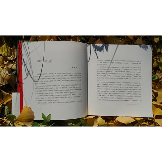 霏霏寒雨湿征衣：一本八十年前的纪念册 商品图6