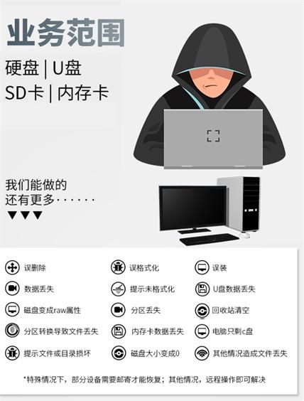 CF卡，SD卡，TF卡，硬盘数据恢复服务 商品图1