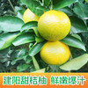 “此商品不参加买多少送多少活动” 助农产品|建阳潭泉桔柚【3kg/5kg】产地现摘直发 包邮到家 商品缩略图0