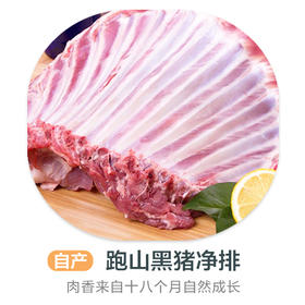 跑山黑猪净排(冻鲜)