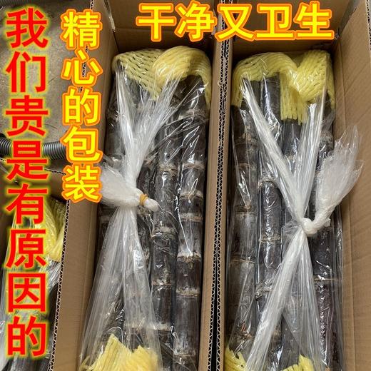 廣西黑皮甜甘蔗新鮮水果紫皮甘蔗3斤