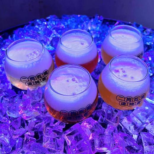 耗子尾汁——海盐古斯生啤400ml