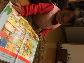 《兔子公寓》：很简单的故事，却画中有画，各种小故事套叠在一起。