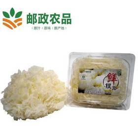 【邮政惠农合作】 新鲜银耳白木耳鲜雪耳 非干货 125g/朵 6朵盒装鲜银耳