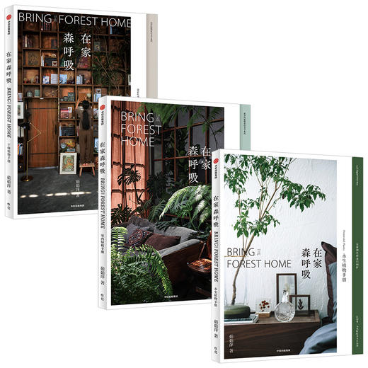 在家森呼吸系列 室内绿植手册、干燥植物手册、永生植物手册 茹茹萍 著 家居生活 家居装扮风格 中信 商品图5