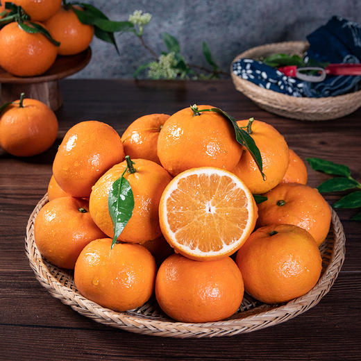 gxd广西武鸣沃柑约5斤/礼盒装