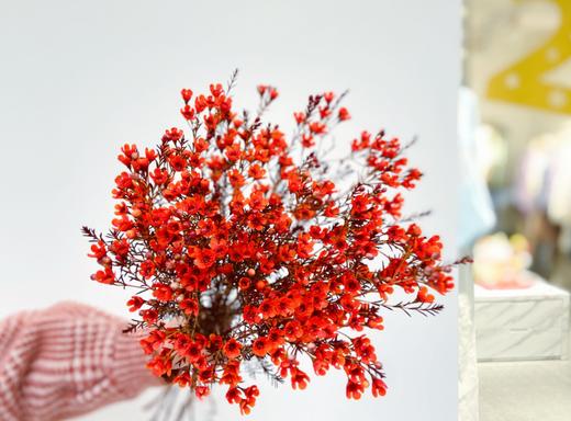 【周四秒杀】红色澳梅一把49.8元 商品图1