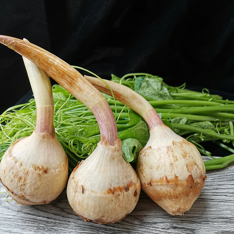 【日日秒】茨菇 约1斤/份 202