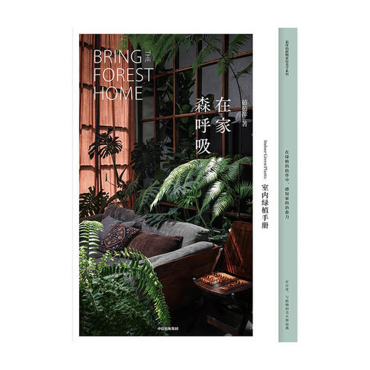在家森呼吸系列 室内绿植手册、干燥植物手册、永生植物手册 茹茹萍 著 家居生活 家居装扮风格 中信 商品图2