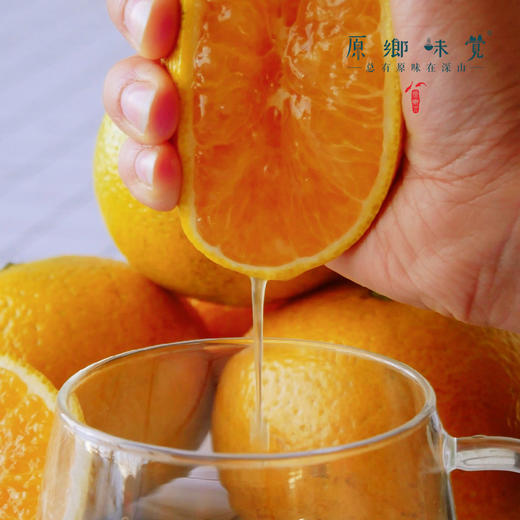 生态建阳桔柚 | 来自武夷山核心产区,5年生态种植,细腻爽口,口感惊艳