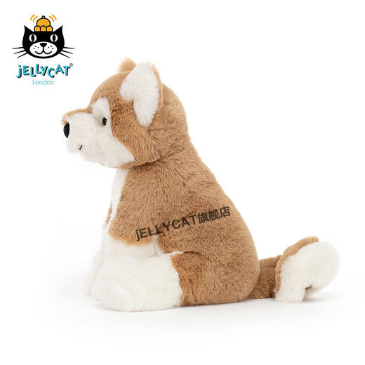 2020年jellycat新品迈洛柴犬可爱狗狗时尚陪伴儿童毛绒玩具玩偶 商品图2