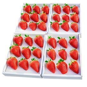 积分兑换丹东99草莓1盒