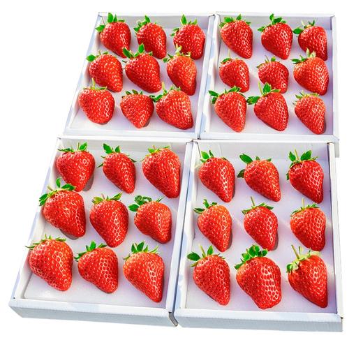 积分兑换丹东99草莓1盒 商品图0