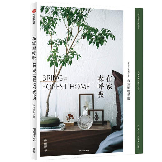 在家森呼吸系列 室内绿植手册、干燥植物手册、永生植物手册 茹茹萍 著 家居生活 家居装扮风格 中信 商品图1