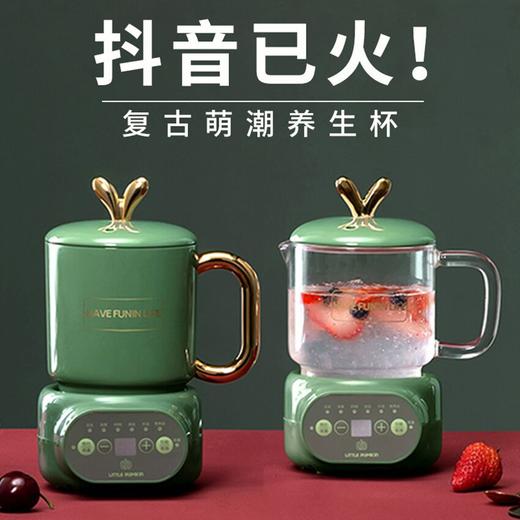 小南瓜养生壶办公室小型家用多功能煮茶器煮花茶壶mini养身炖煮杯 实用家电小礼品 商品图5