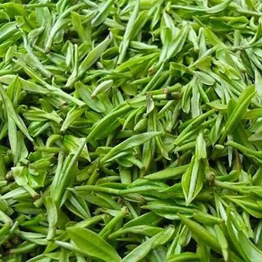 原林银露 100g(袋装) 高山云雾绿茶,早春茶芽,口感清香型 直播专用