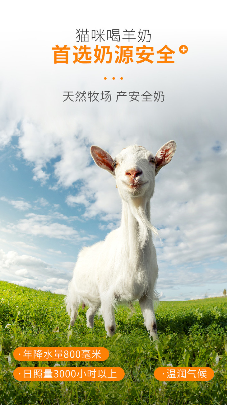 麦德氏 幼猫专用羊奶粉200g/罐 1周龄以上幼猫专用