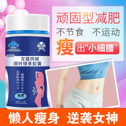 左旋肉碱绿茶胶囊减肥瘦身燃脂顽固型排油搭纤婕苹果荷叶茶 商品图0