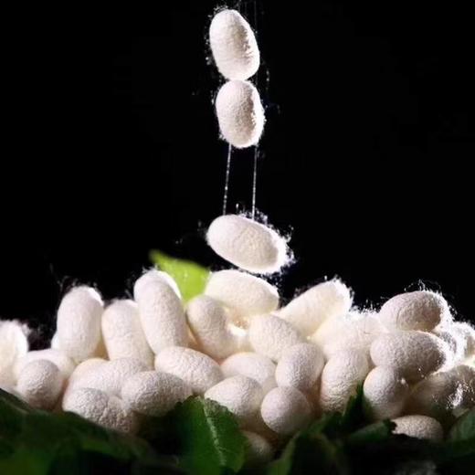 优品堂“龙的传人”高级桑蚕丝真丝巾110大方巾围巾 商品图2