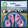 锡盟羔羊肉修脂【单骨羊排】    300g/袋 商品缩略图1