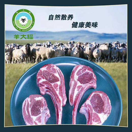 锡盟羔羊肉修脂【单骨羊排】    300g/袋 商品图1