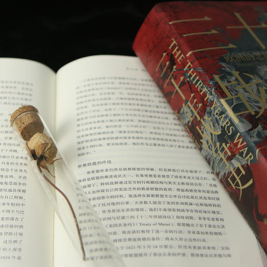 三十年战争史 商品图7