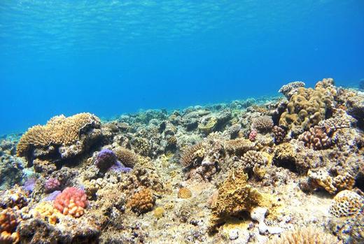 日本自然-群岛（二） 商品图6